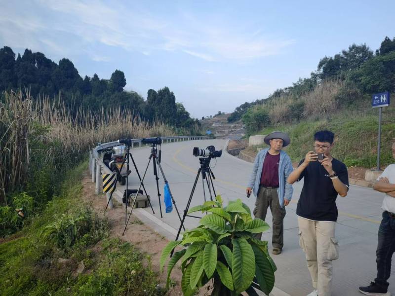 岱山县电商产品视频拍摄制作：如何打造高转化的电商视觉内容？